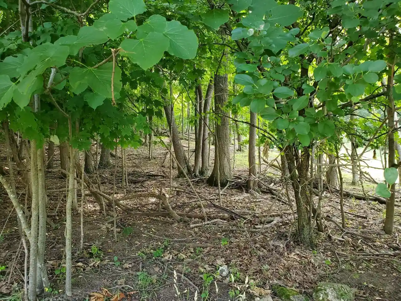4th image of 1041 Woods Edge Dr Dr, Hartford, WI 53027 | MLS# 1969754