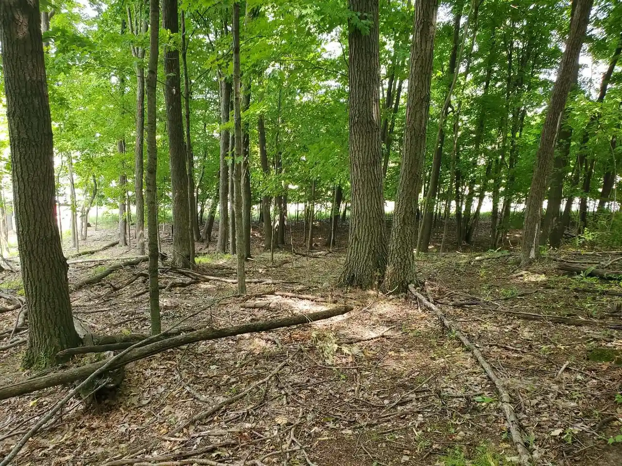 5th image of 1041 Woods Edge Dr Dr, Hartford, WI 53027 | MLS# 1969754