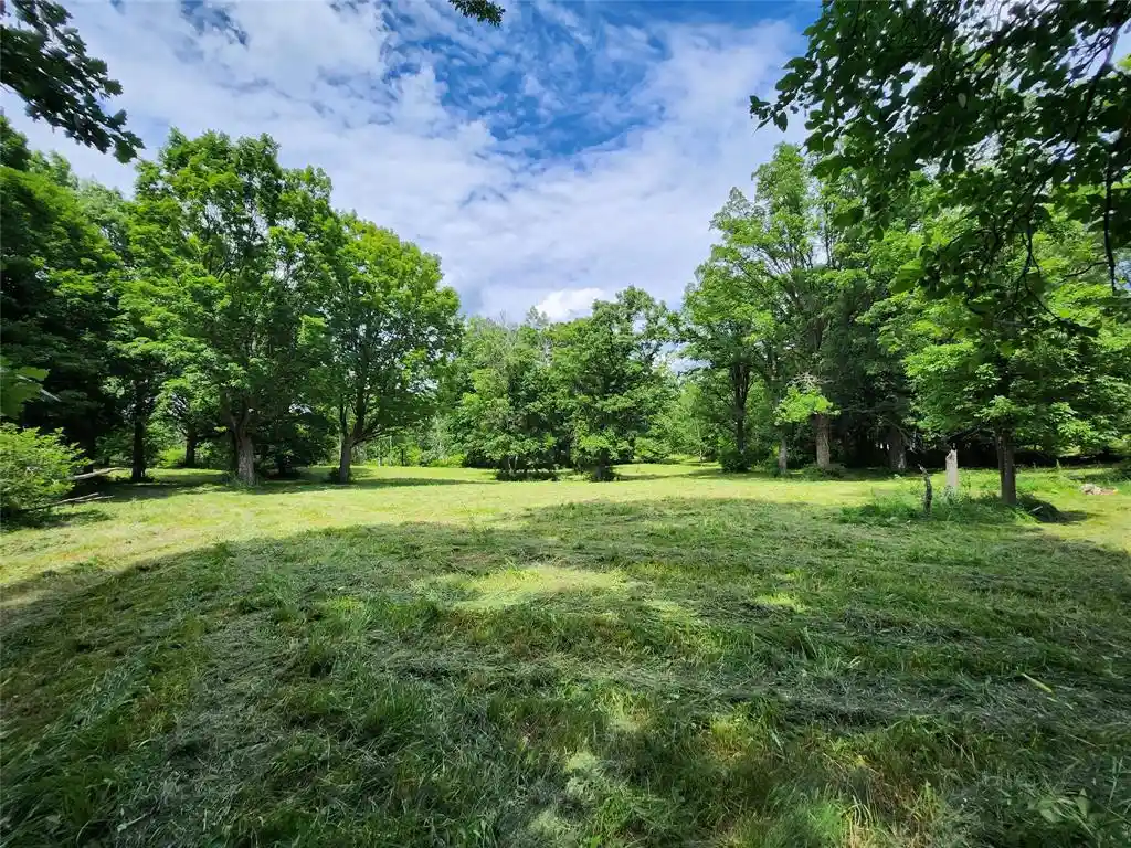 Homes for sale in Birchwood, WI | 7 Acres Hwy F, Birchwood, WI 54817 | MLS# 1602730
