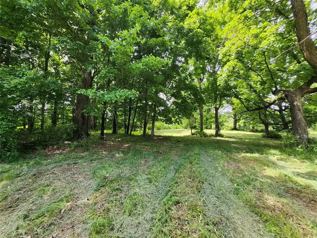 Homes for sale in Birchwood, WI | 7 Acres Hwy F, Birchwood, WI 54817 | MLS# 1602730