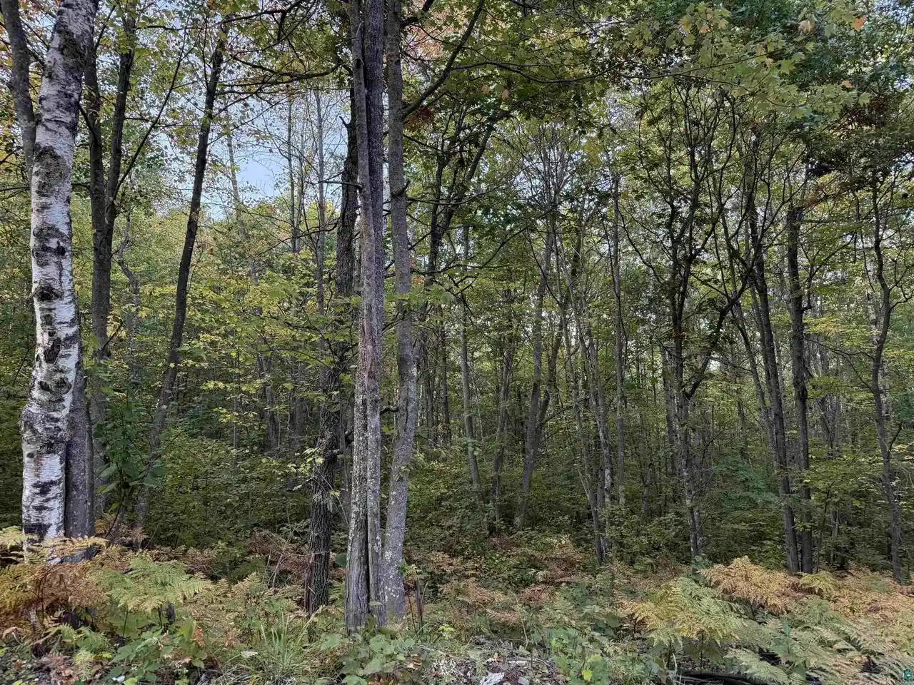 Homes for sale in Iron River, WI | 000 Hwy 2, Iron River, WI 54847 | MLS# 6126471