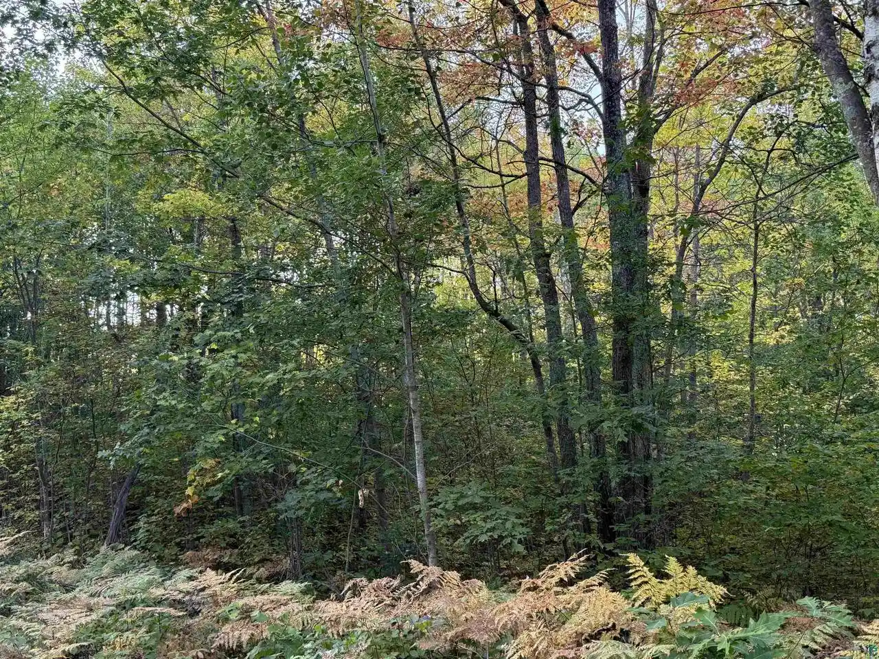 Homes for sale in Iron River, WI | 000 Hwy 2, Iron River, WI 54847 | MLS# 6126471