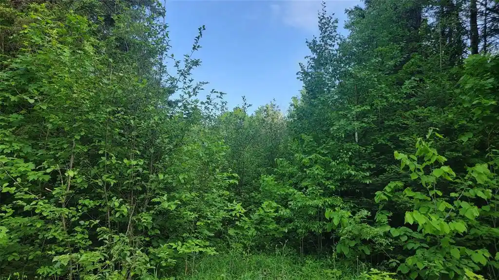Homes for sale in Winter, WI | On Doland Road Road, Winter, WI 54896 | MLS# 1602825