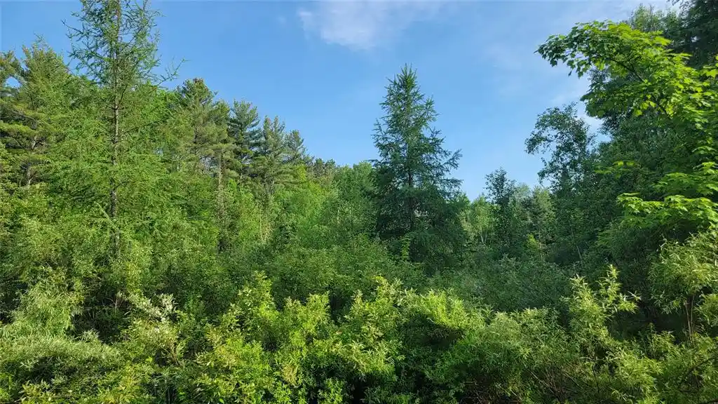 Homes for sale in Winter, WI | On Doland Road Road, Winter, WI 54896 | MLS# 1602825