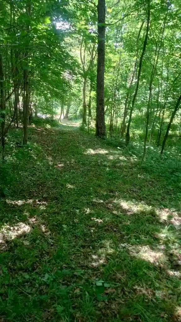 Homes for sale in Rock Springs, WI | Hwy W Road Road, Rock Springs, WI 53961 | MLS# 2027117