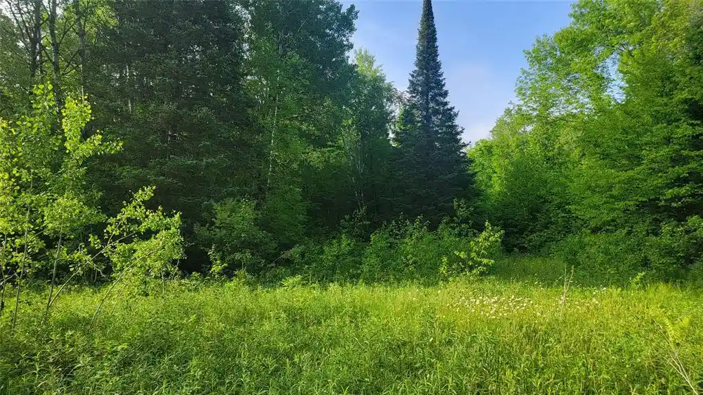 Homes for sale in Winter, WI | 40a On Doland Rd, Winter, WI 54896 | MLS# 1602841