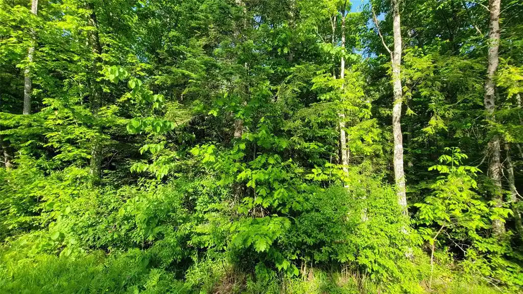 Homes for sale in Winter, WI | 40A On Doland Rd, Winter, WI 54896 | MLS# 1602841