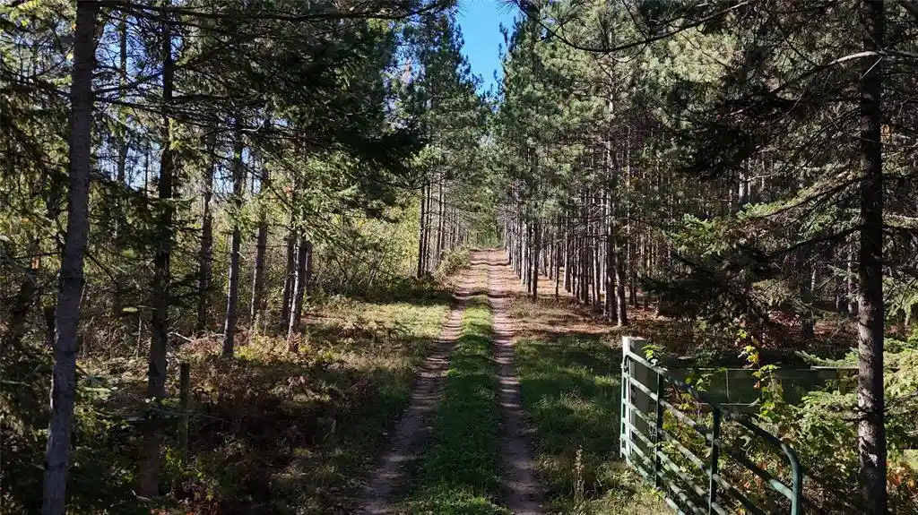 Photo 4 of Land for sale at Tbd Bb Mann Road, Spooner, WI 54801 | MLS# 1602853 | Listing updated on 2026-07-06