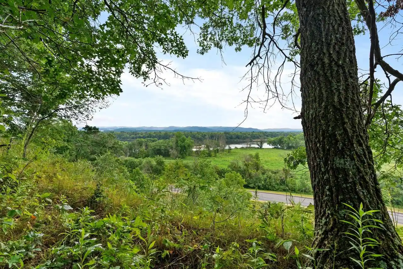 5th image of Lt3 County Road N, Arkansaw, WI 54721 | MLS# 1969876