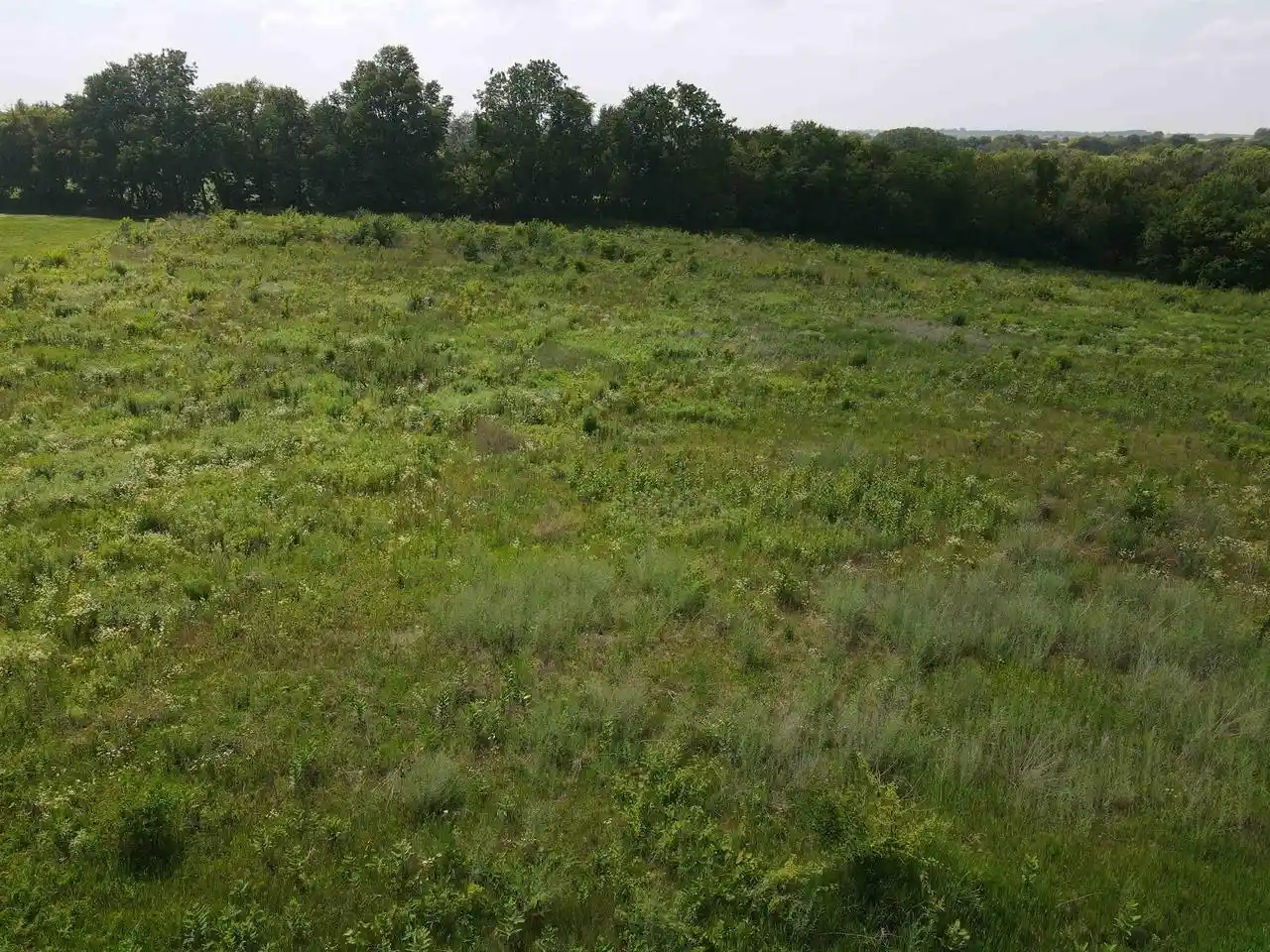 Photo 2 of Land for sale at Lot 2 Tindell Lane, Monroe, WI 53566 | MLS# 2027176 | Listing updated on 2026-07-06