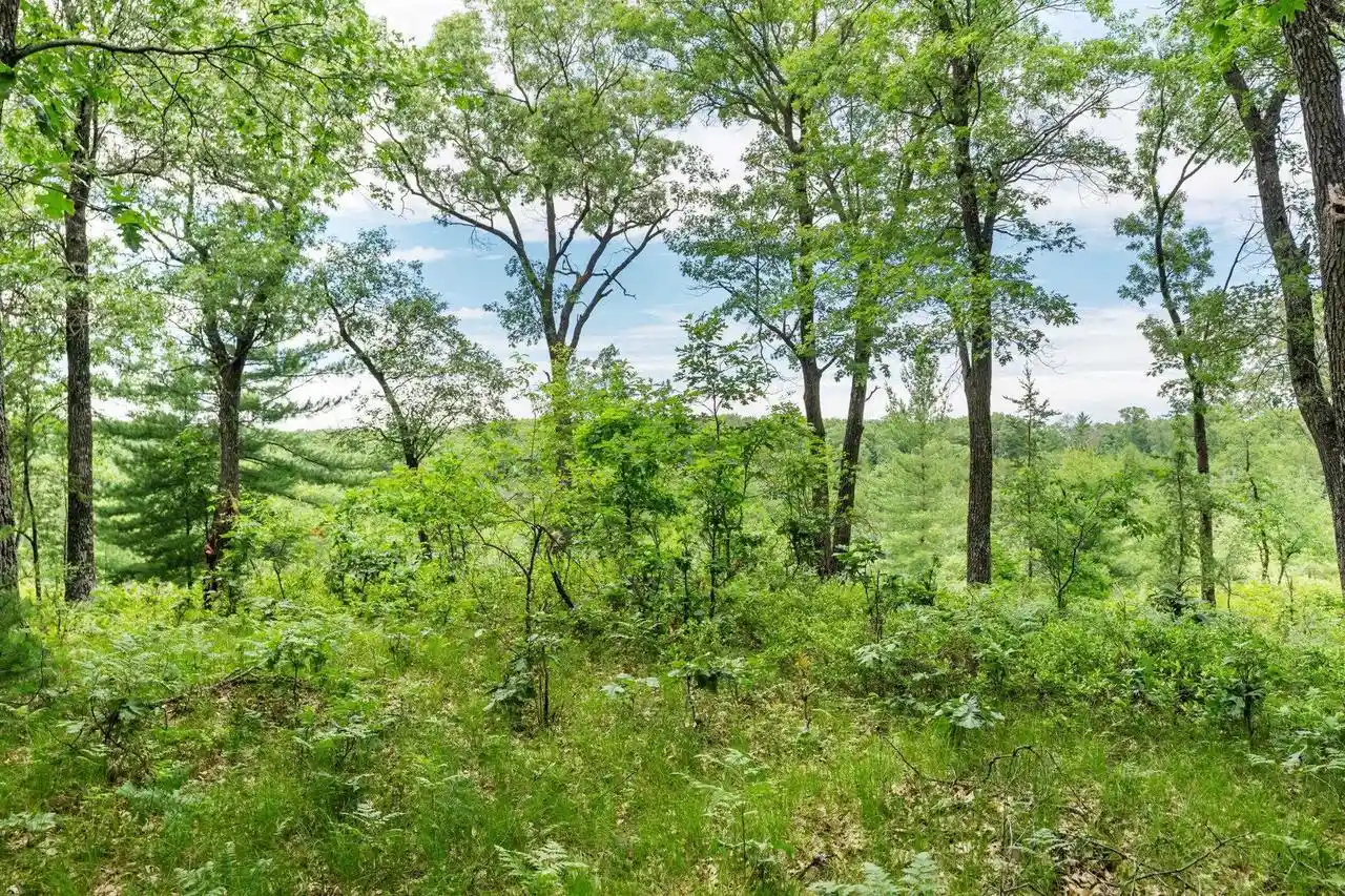 Homes for sale in Grand Marsh, WI | 4113 Acres 9th Court Court, Grand Marsh, WI 53936 | MLS# 2027179