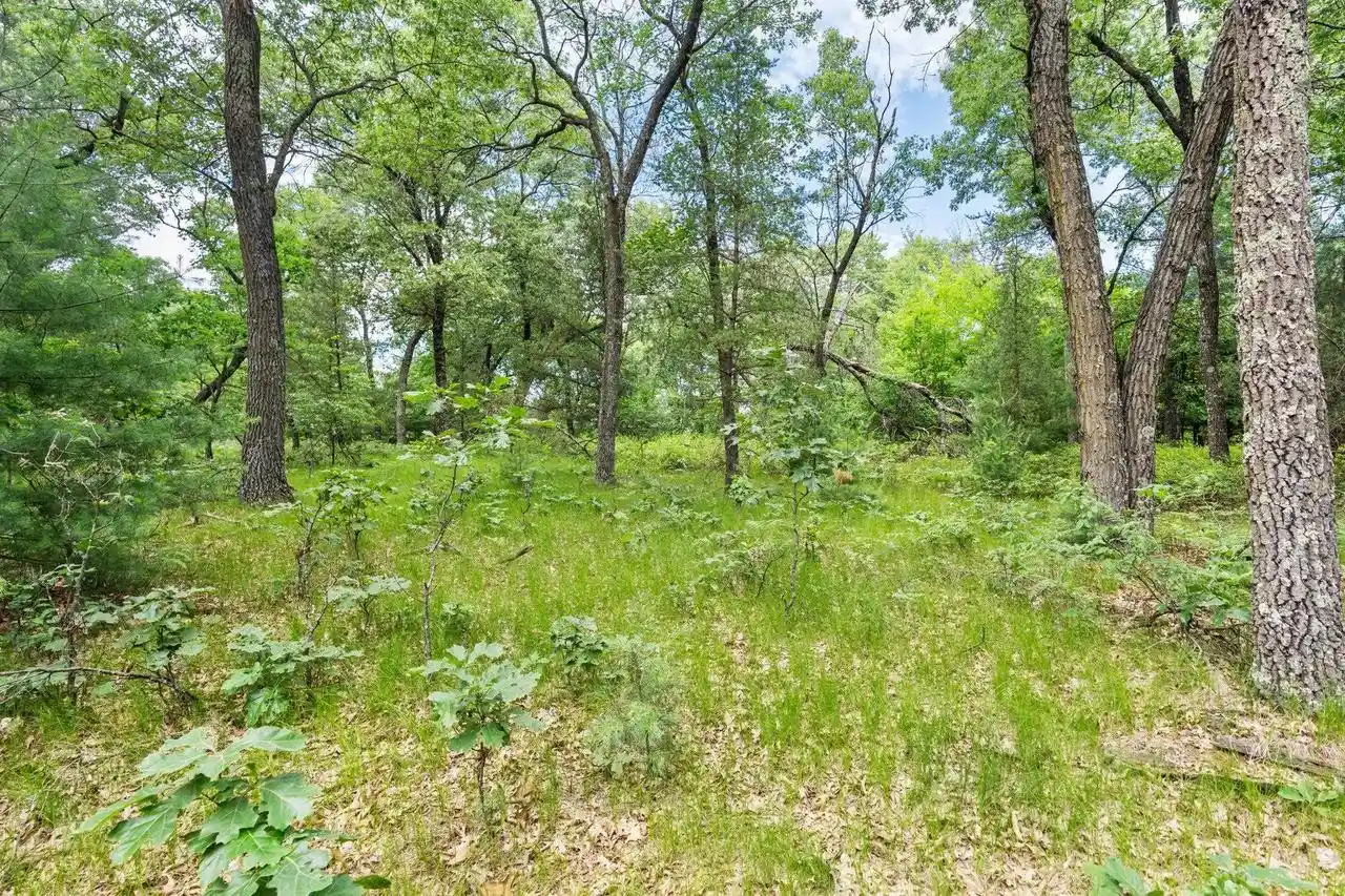 Homes for sale in Grand Marsh, WI | 4113 Acres 9th Court Court, Grand Marsh, WI 53936 | MLS# 2027179