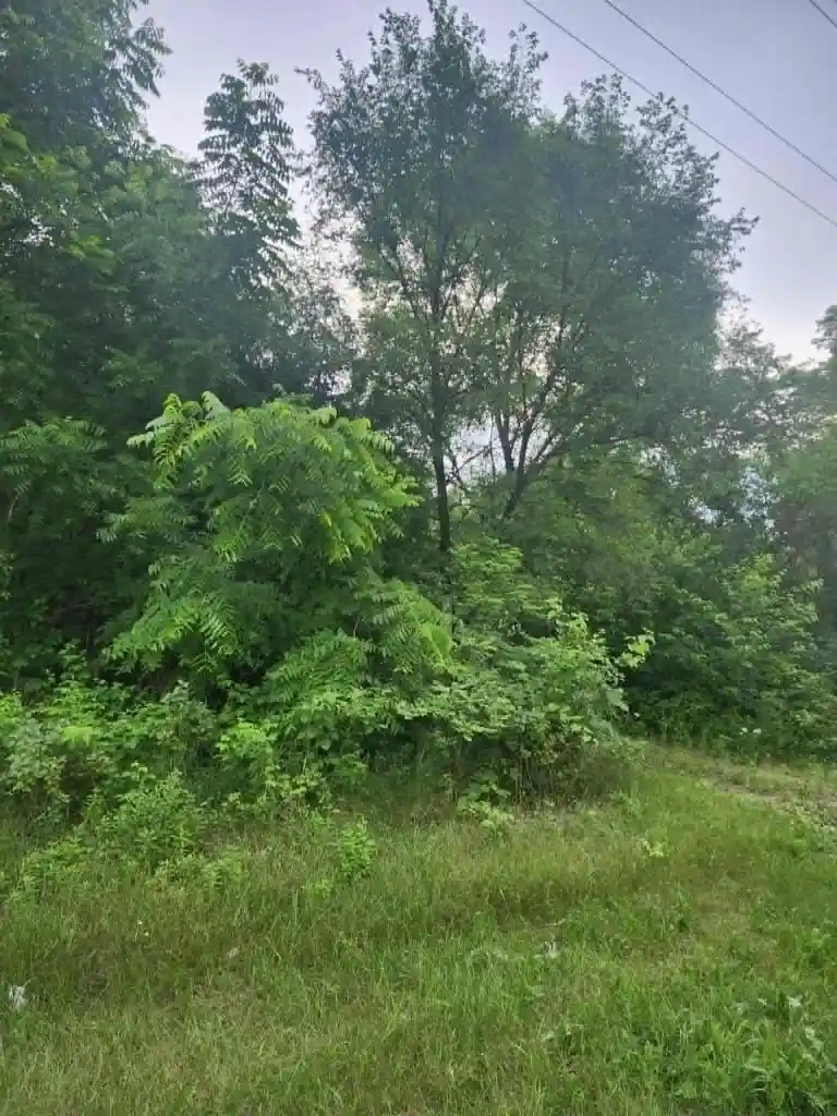 Homes for sale in Lone Rock, WI | S12704 County Line Road Road Road, Lone Rock, WI 53556 | MLS# 2027180