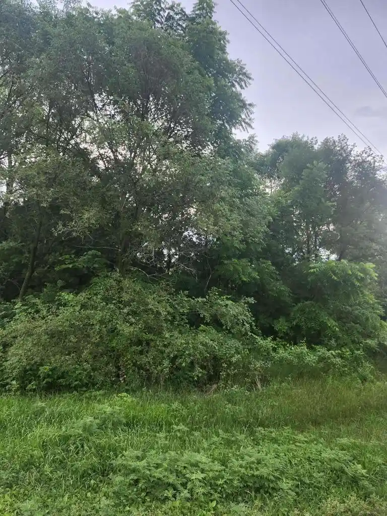 Photo 3 of Land for sale at S12704 County Line Road Road Road, Lone Rock, WI 53556 | MLS# 2027180 | Listing updated on 2026-09-04