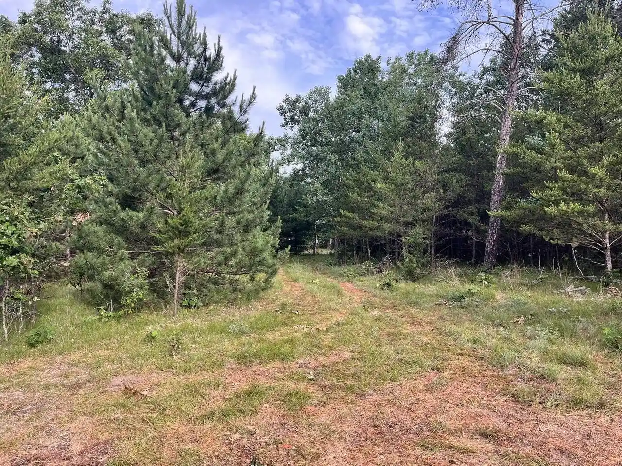 Homes for sale in Grand Marsh, WI | 3074 13th Avenue Avenue, Grand Marsh, WI 53936 | MLS# 2027186