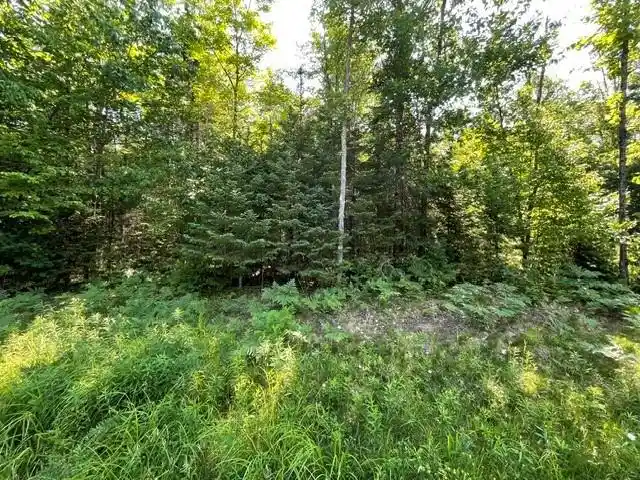 1st image of 12552n County Hwy T, Hayward, WI 54843 | MLS# 1602793