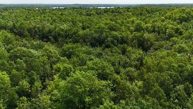 2nd image of 12552n County Hwy T, Hayward, WI 54843 | MLS# 1602793