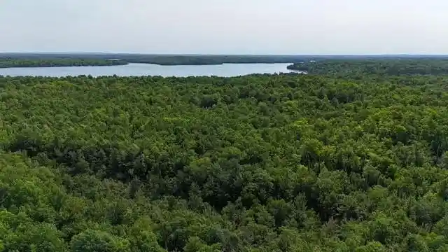 3rd image of 12552N County Hwy T, Hayward, WI 54843 | MLS# 1602793