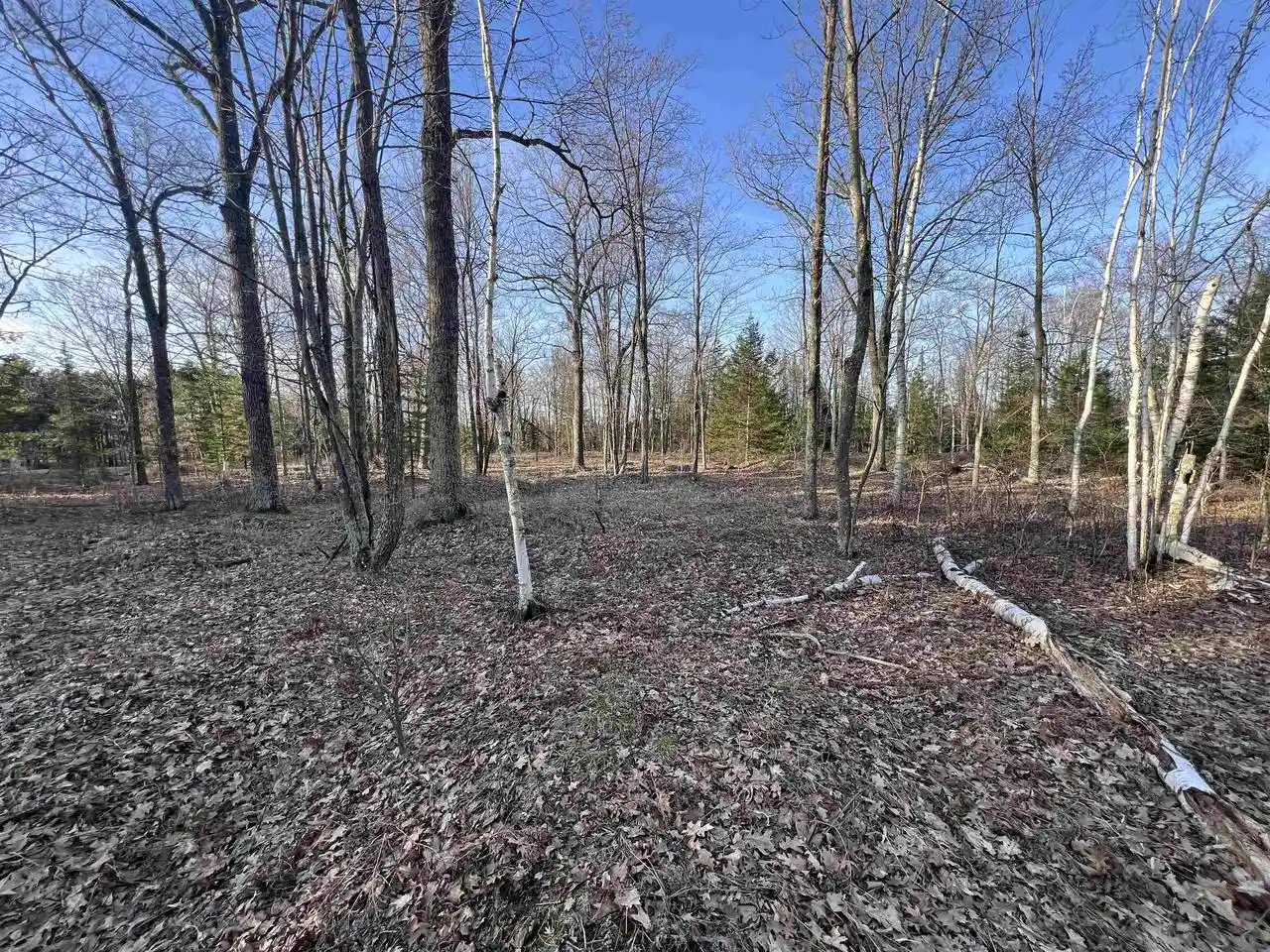 1st image of Nejedlo Road Road, Wausaukee, WI 54177 | MLS# 50328458