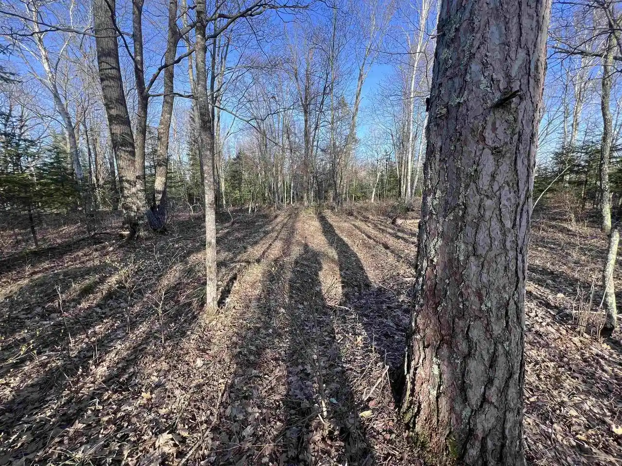 2nd image of Nejedlo Road Road, Wausaukee, WI 54177 | MLS# 50328458