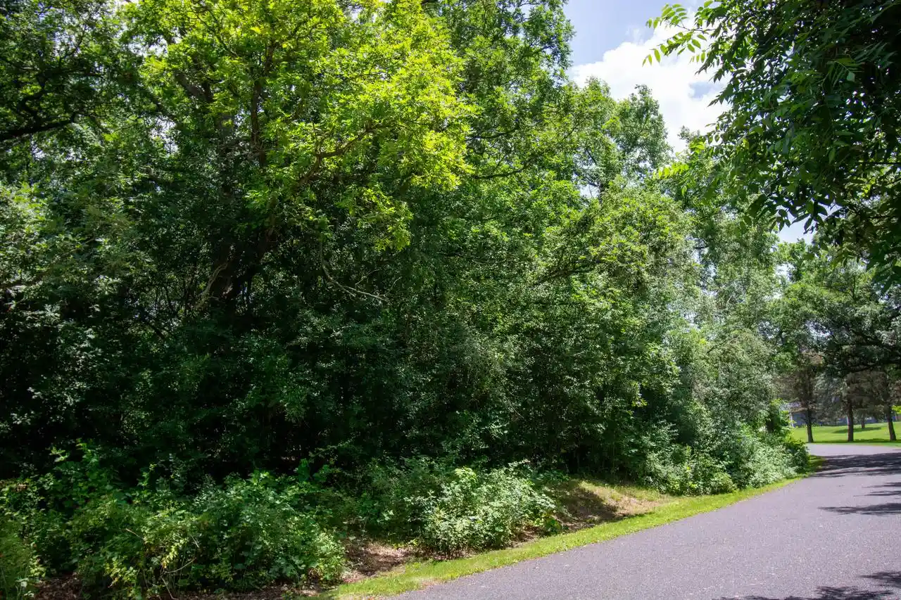 Homes for sale in Elkhorn, WI | Lot 0 Tamarack Ridge Road Road, Elkhorn, WI 53121 | MLS# 1969950