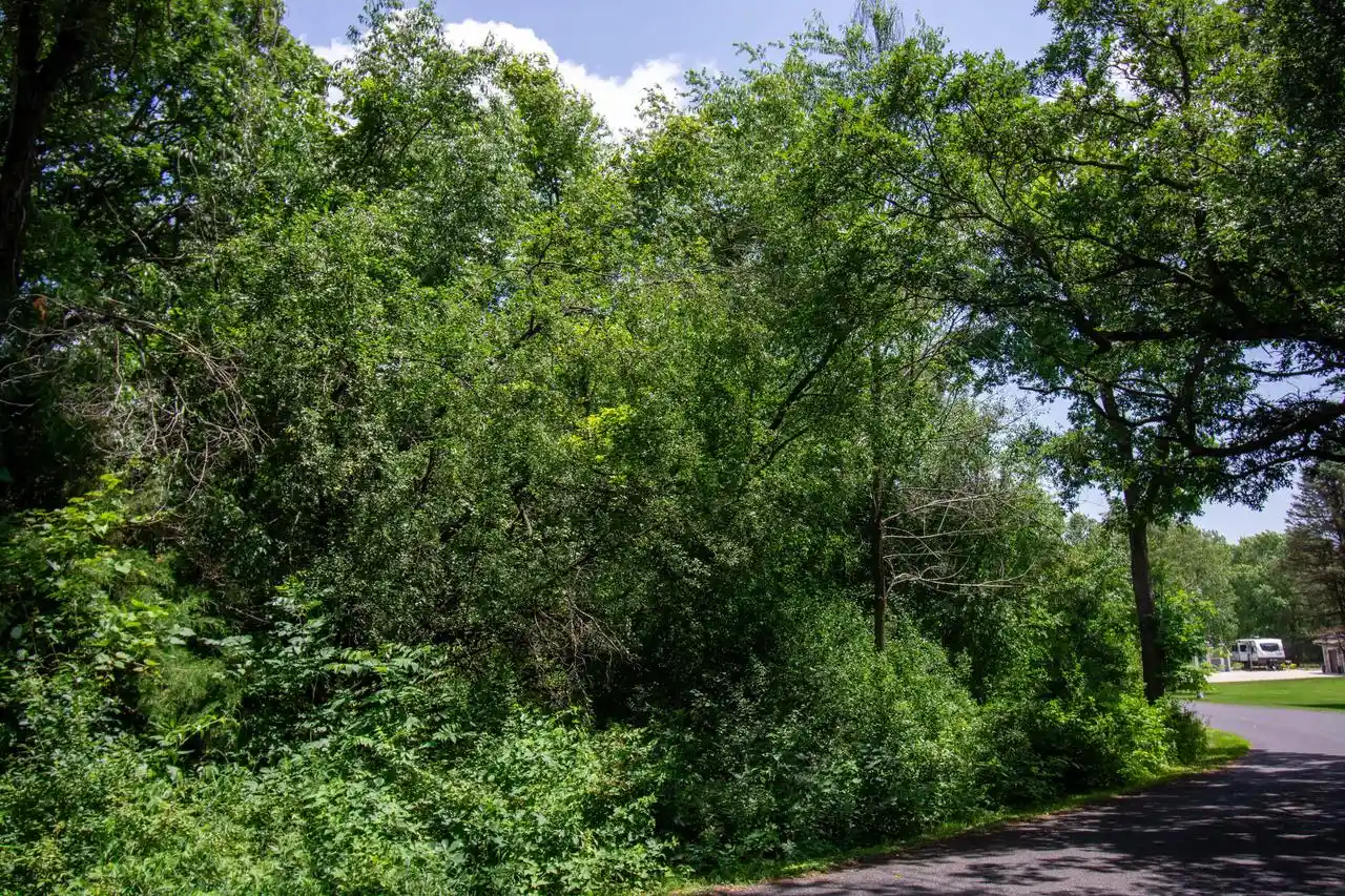Homes for sale in Elkhorn, WI | Lot 0 Tamarack Ridge Road Road, Elkhorn, WI 53121 | MLS# 1969950