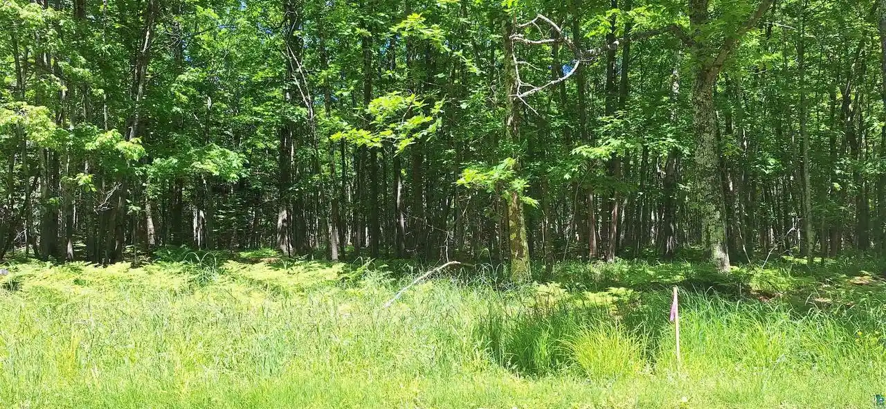Homes for sale in La Pointe, WI | Xxx South Shore Rd Rd, La Pointe, WI 54850 | MLS# 6126506