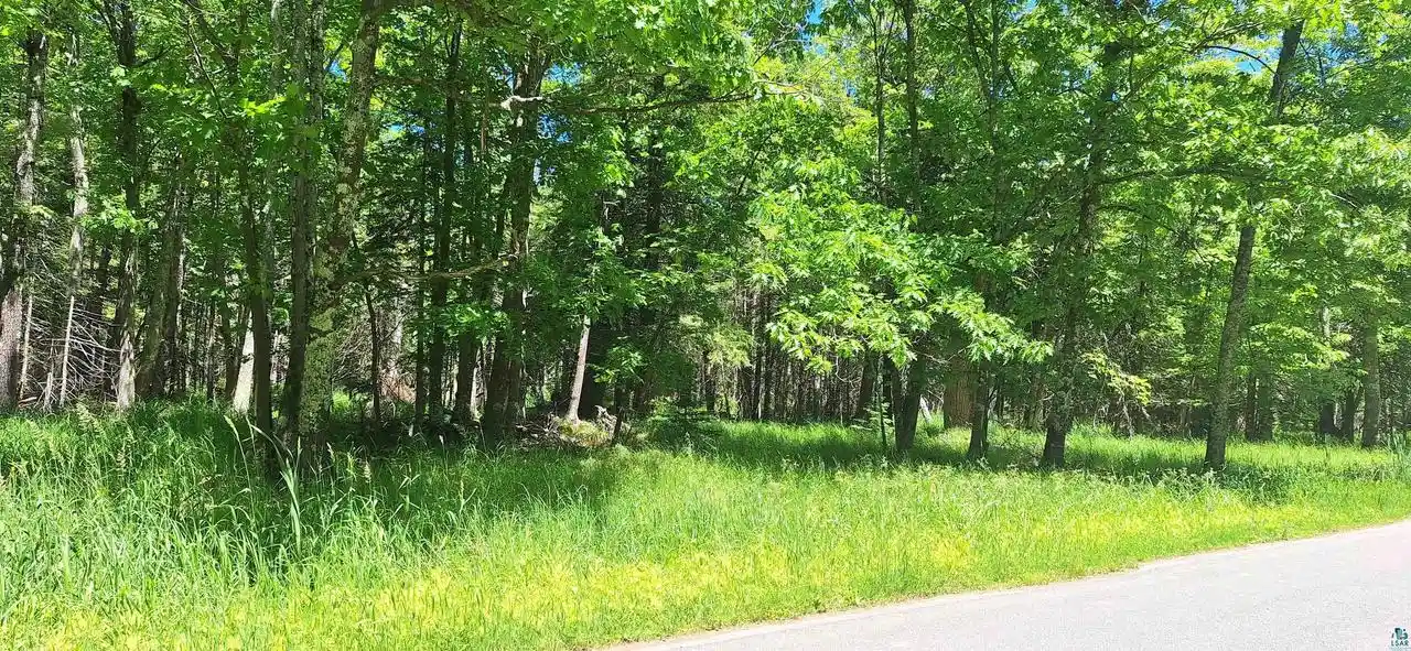 Homes for sale in La Pointe, WI | Xxx South Shore Rd Rd, La Pointe, WI 54850 | MLS# 6126506