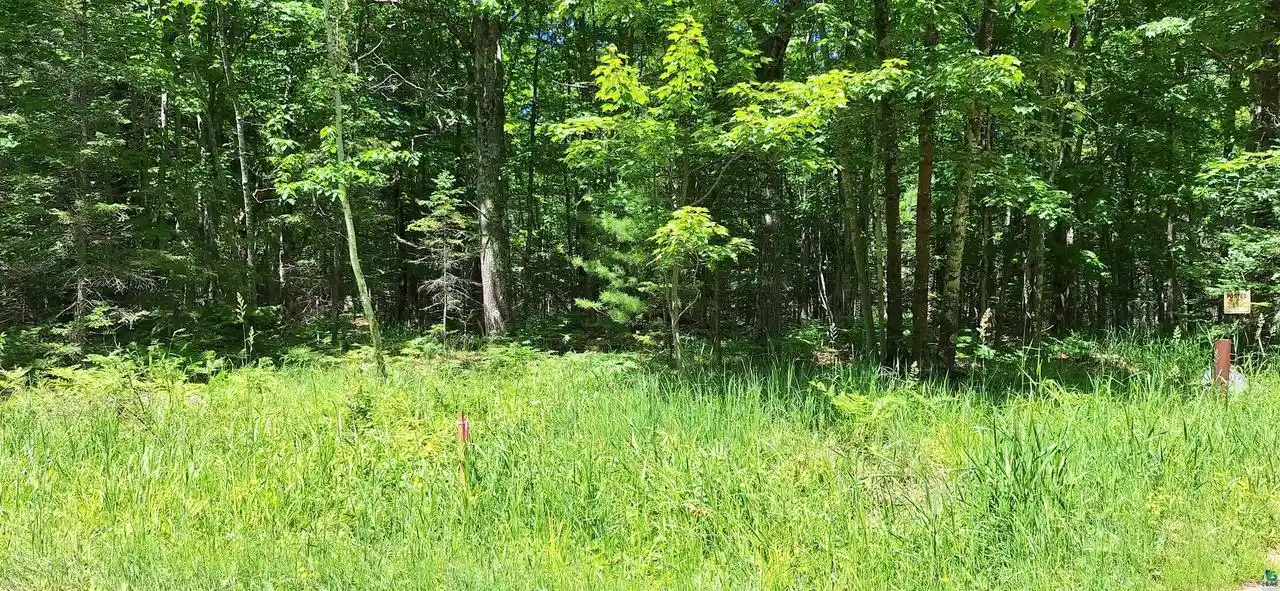 Homes for sale in La Pointe, WI | Xxx South Shore Rd Rd, La Pointe, WI 54850 | MLS# 6126506