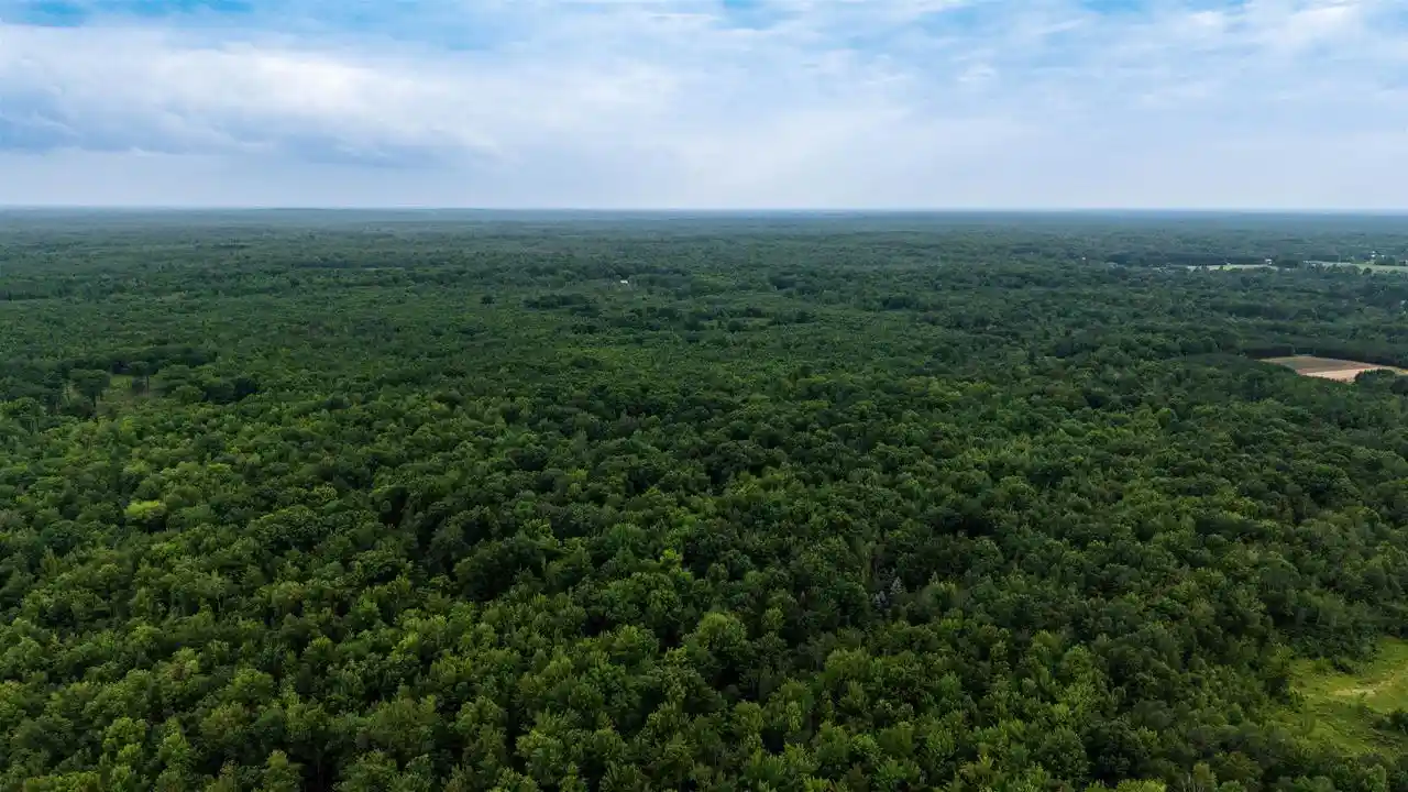 Homes for sale in Kronenwetter, WI | 40 Acres Zogata Road Road, Kronenwetter, WI 54455 | MLS# 22603051
