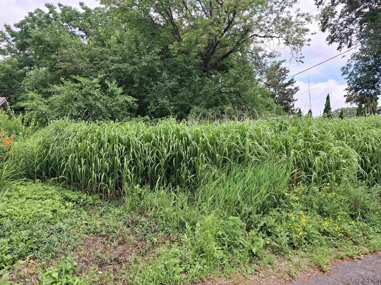 Photo 2 of Land for sale at 5510 Marconi Street Street, Madison, WI 53705 | MLS# 2027217 | Listing updated on 2026-09-03