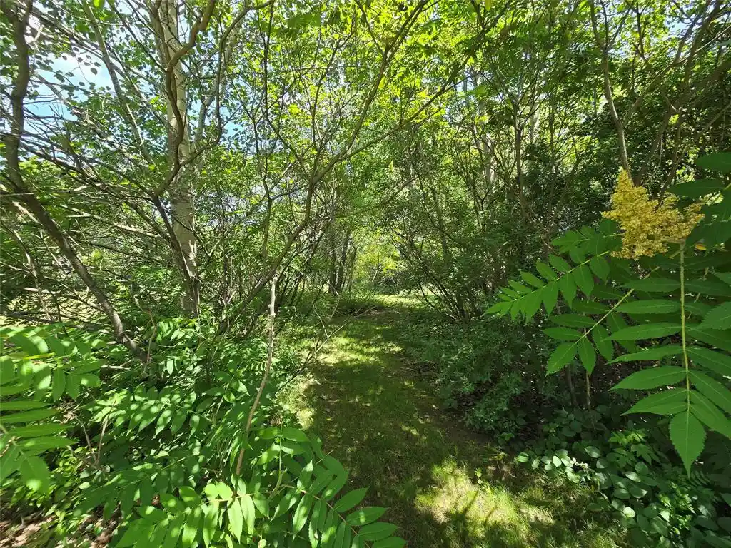 2nd image of Lot 1 91st Avenue Avenue, Chippewa Falls, WI 54729 | MLS# 1602657