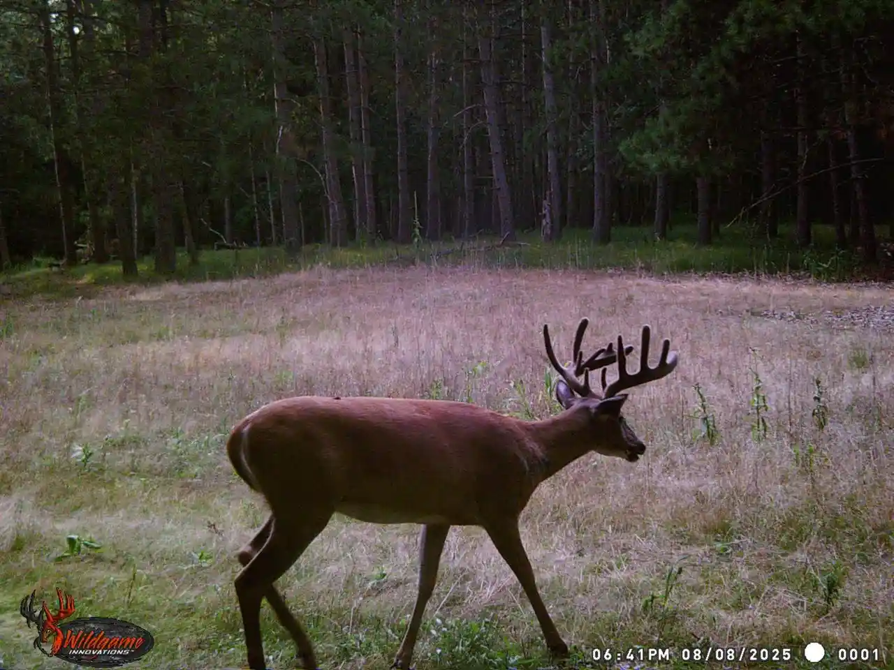 Photo 4 of Land for sale at 135 Acres Lueck Lane Lane, Princeton, WI 54968 | MLS# 2027222 | Listing updated on 2026-07-02