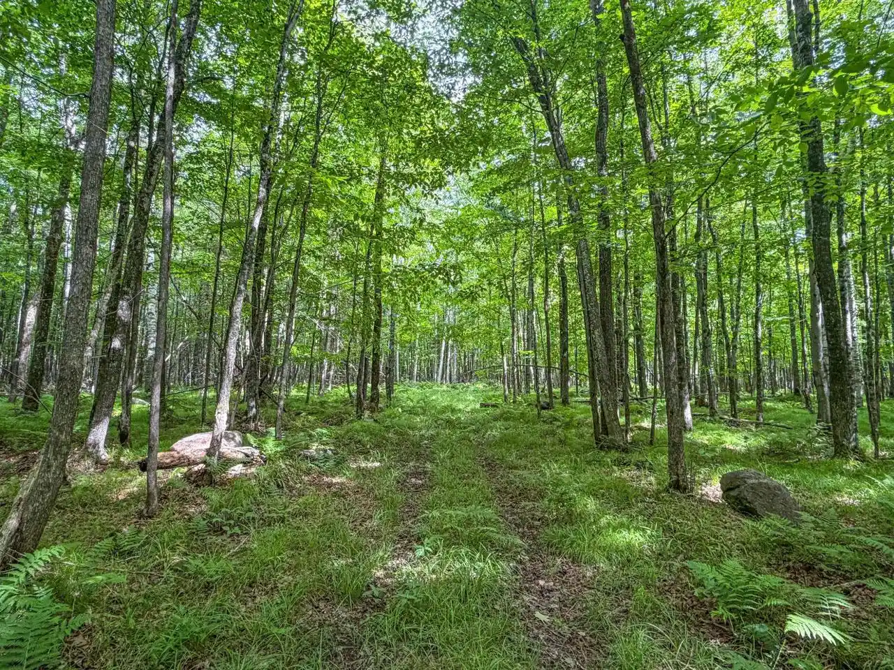 Homes for sale in Phillips, WI | 30 A E Dover Road Road, Phillips, WI 54555 | MLS# 22603068
