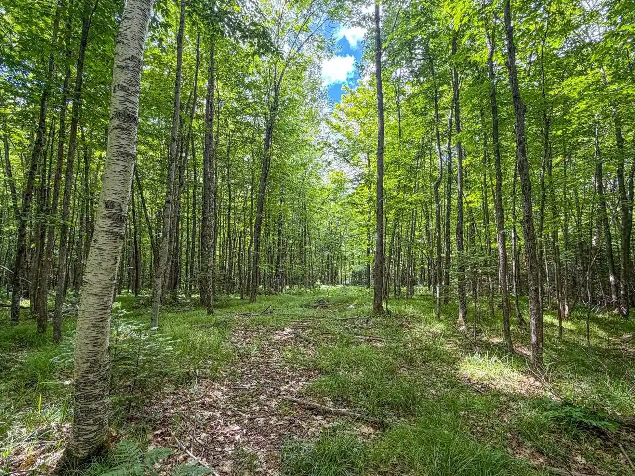 Homes for sale in Phillips, WI | 30 A E Dover Road Road, Phillips, WI 54555 | MLS# 22603068
