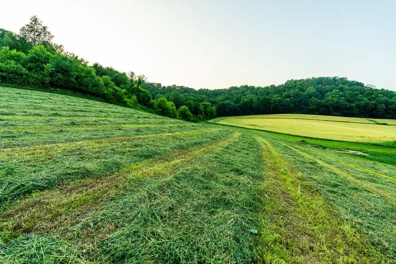 5th image of Lt0 Smyth Hollow Road Road, Hillpoint, WI 53937 | MLS# 1969995
