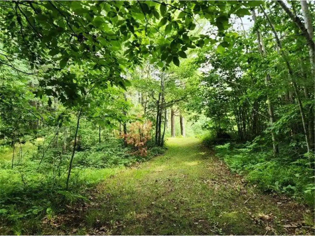 2nd image of 6565 Lynch Bridge Road Road, Siren, WI 54872 | MLS# 7103423