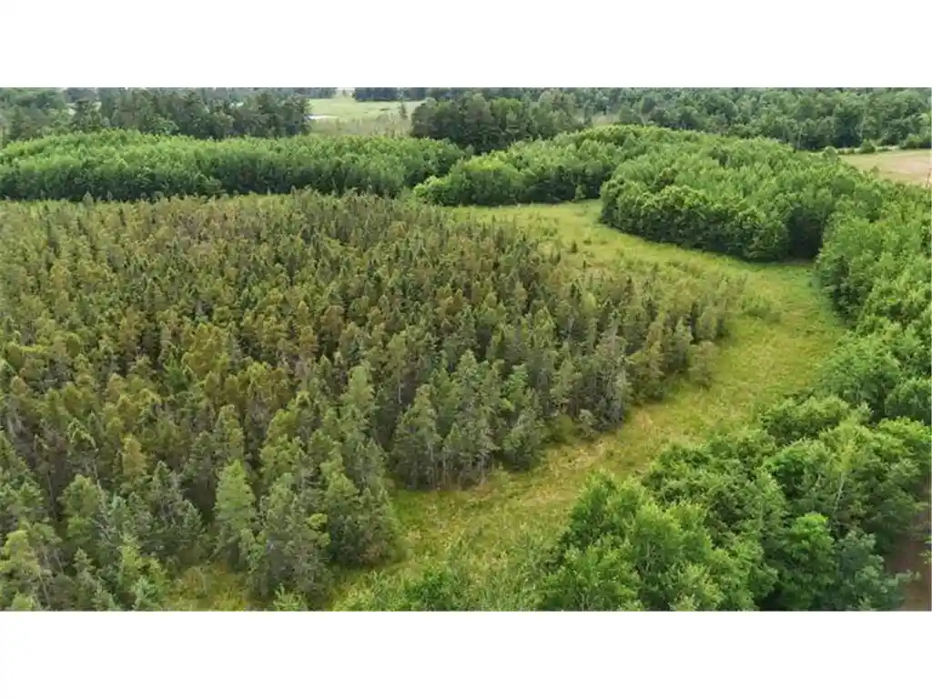 3rd image of 6565 Lynch Bridge Road Road, Siren, WI 54872 | MLS# 7103423