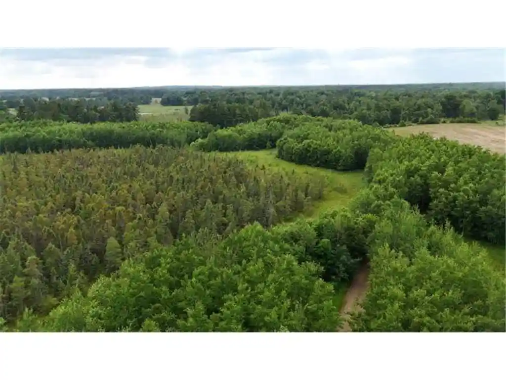 4th image of 6565 Lynch Bridge Road Road, Siren, WI 54872 | MLS# 7103423