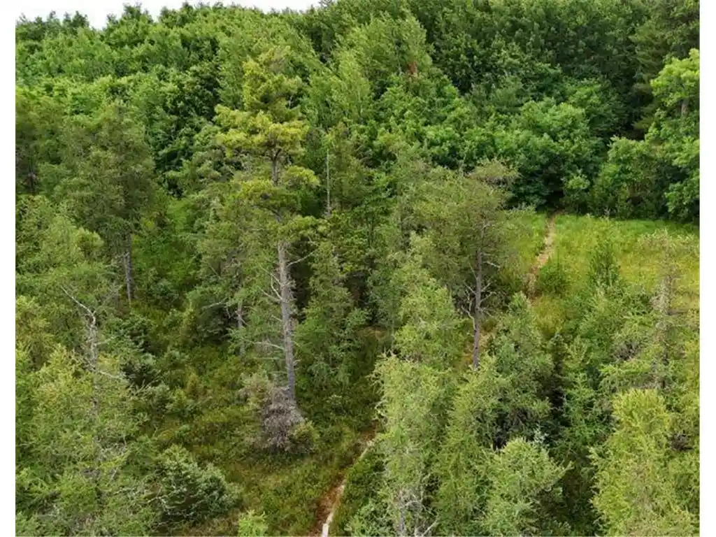103rd image of 6565 Lynch Bridge Road Road, Siren, WI 54872 | MLS# 7103423