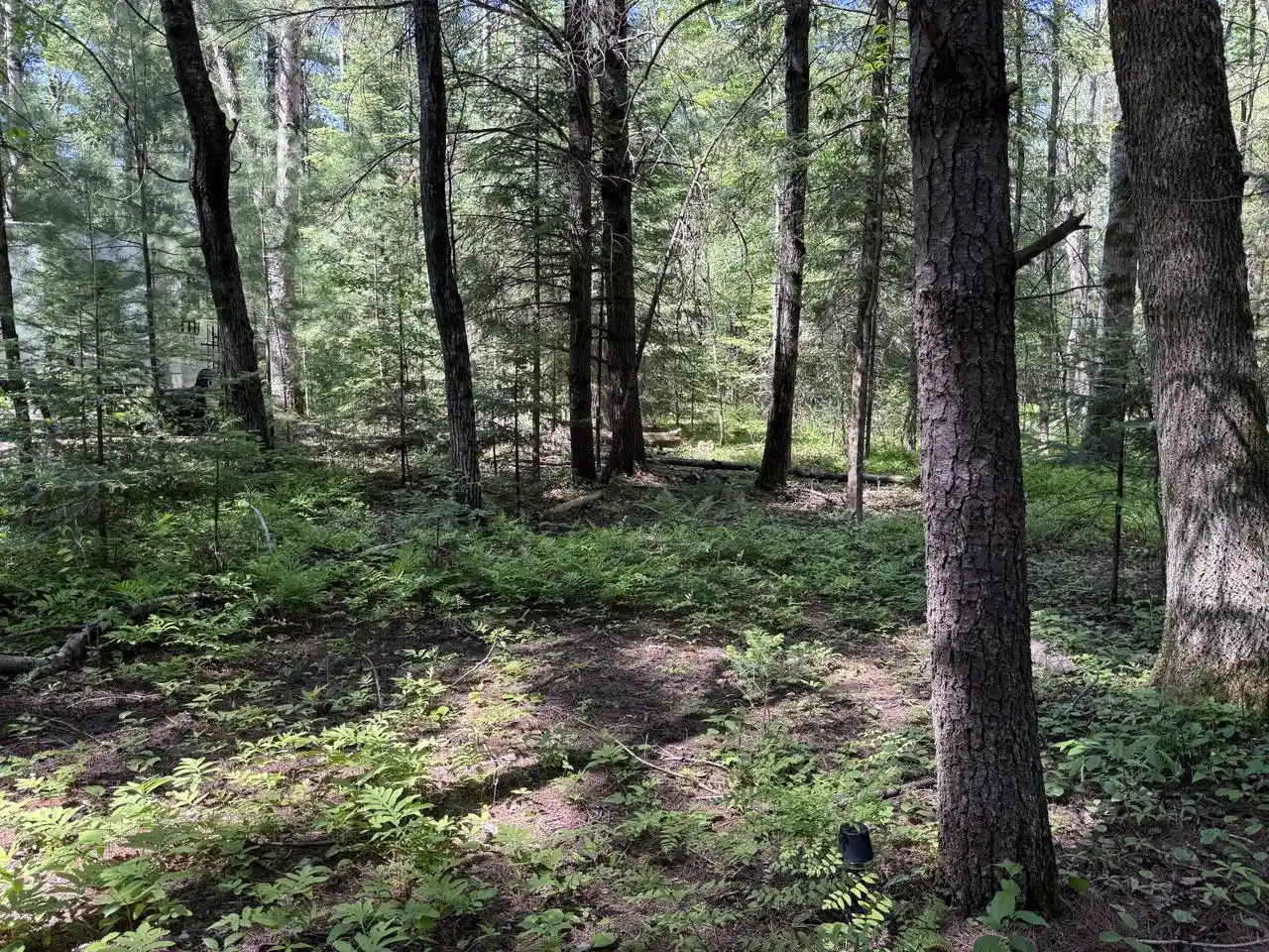 Photo 3 of Land for sale at 168ac Peterson Road Road, Wausaukee, WI 54177 | MLS# 1970067 | Listing updated on 2026-07-22