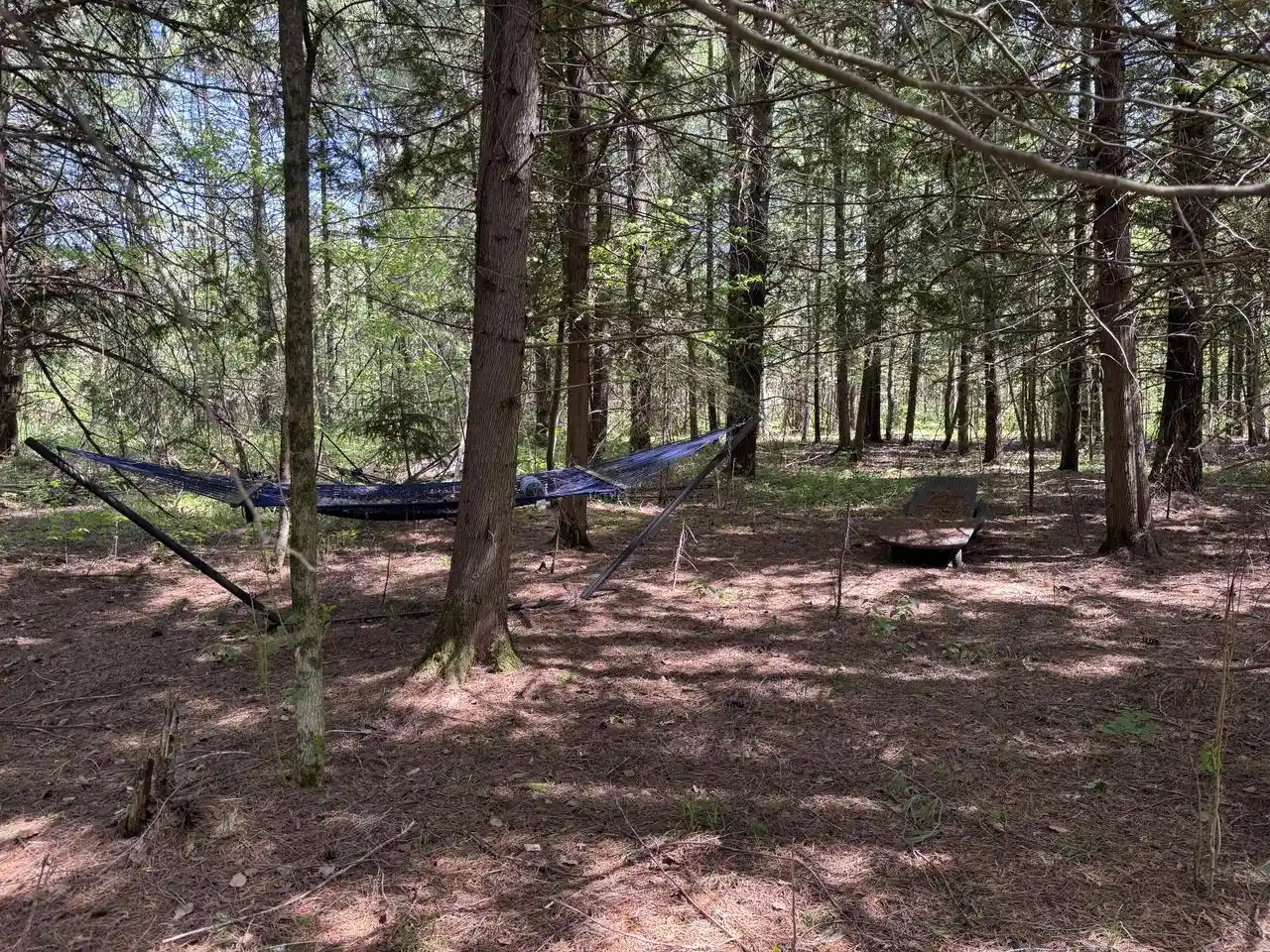 Photo 4 of Land for sale at 168Ac Peterson Road Road, Wausaukee, WI 54177 | MLS# 1970067 | Listing updated on 2026-07-22
