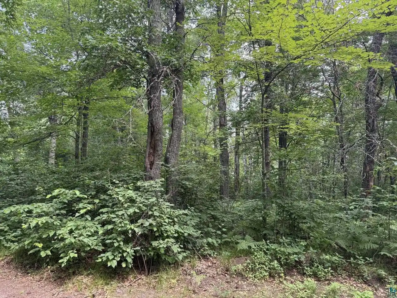 Photo 3 of Land for sale at 91xx E Hilltop Dr Dr, Solon Springs, WI 54873 | MLS# 6126529 | Listing updated on 2026-09-11