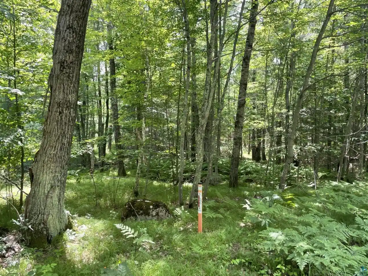 Homes for sale in Iron River, WI | Xxxx Kolling Rd Rd, Iron River, WI 54847 | MLS# 6126545