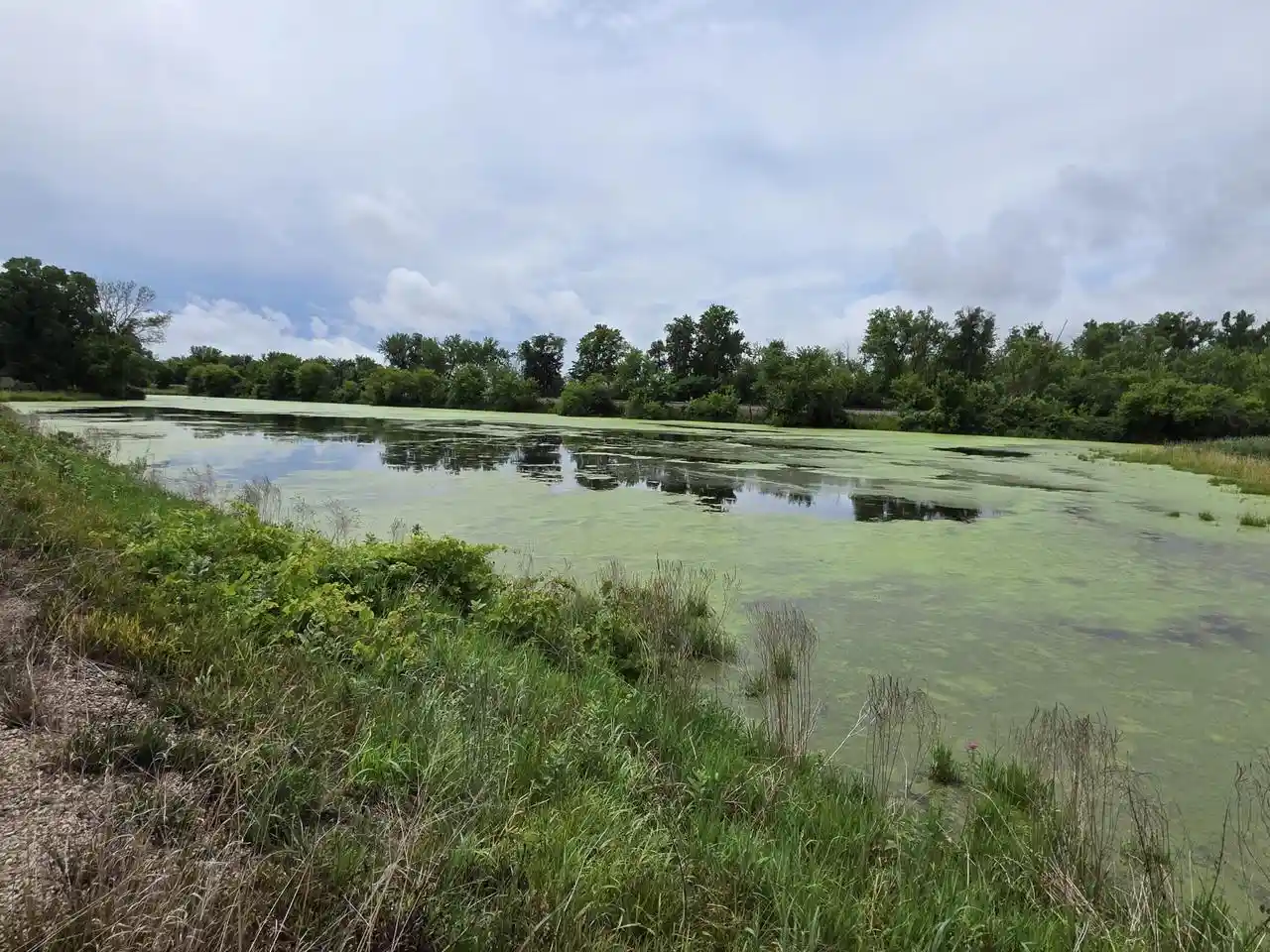 Homes for sale in Ferryville, WI | Lot 0 State Hwy 35, Ferryville, WI 54628 | MLS# 1970168