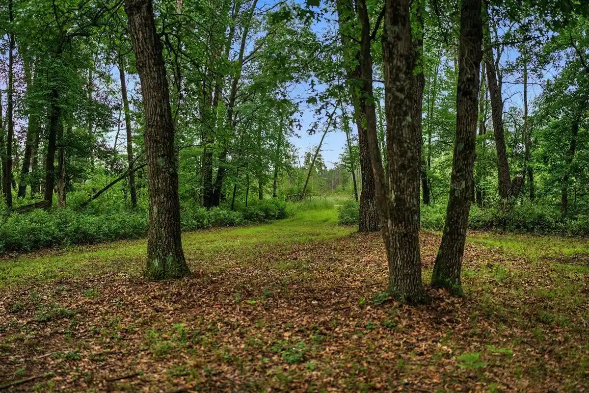 1st image of 20 Acres Badger Avenue Avenue, Nekoosa, WI 54457 | MLS# 2027344