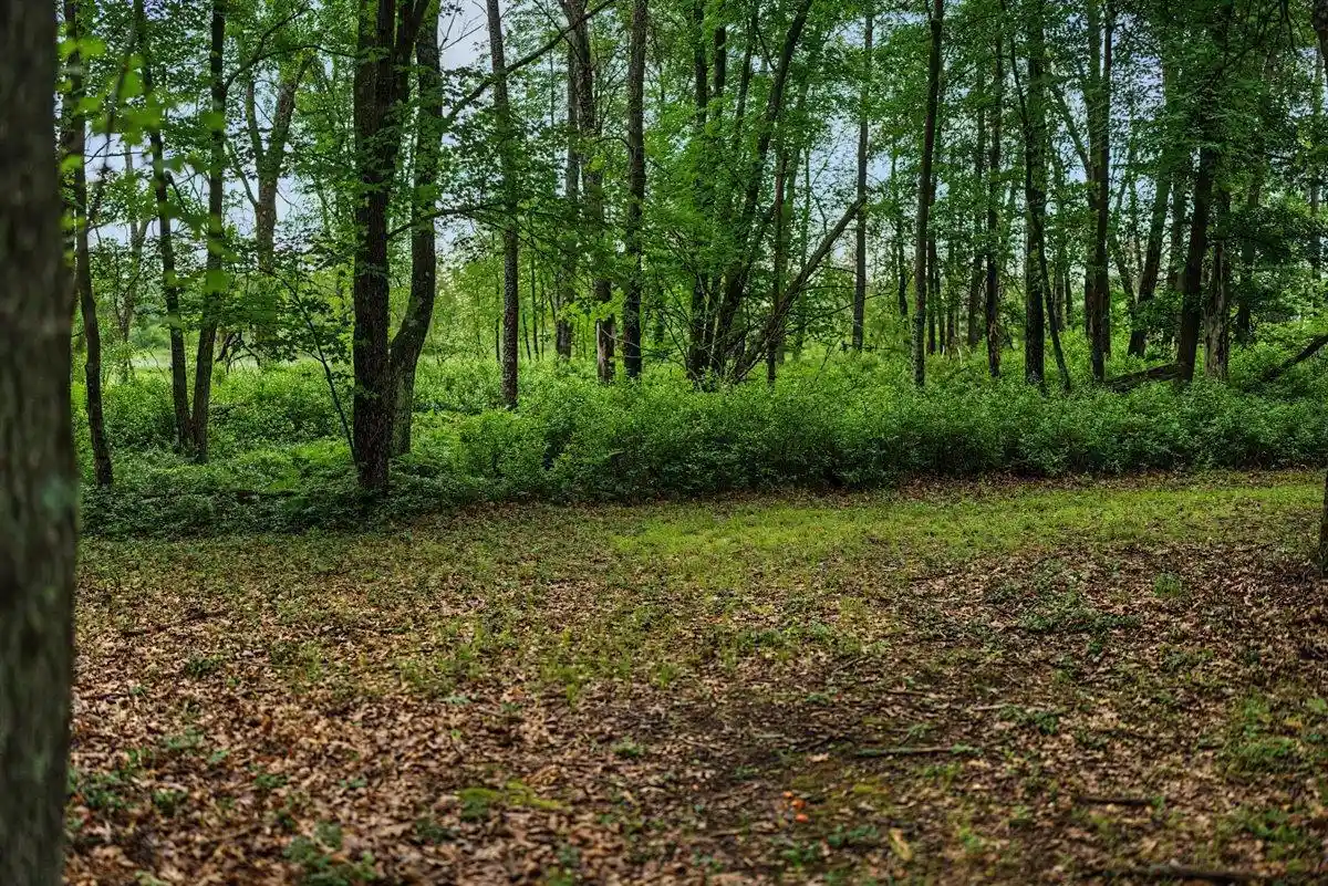 2nd image of 20 Acres Badger Avenue Avenue, Nekoosa, WI 54457 | MLS# 2027344