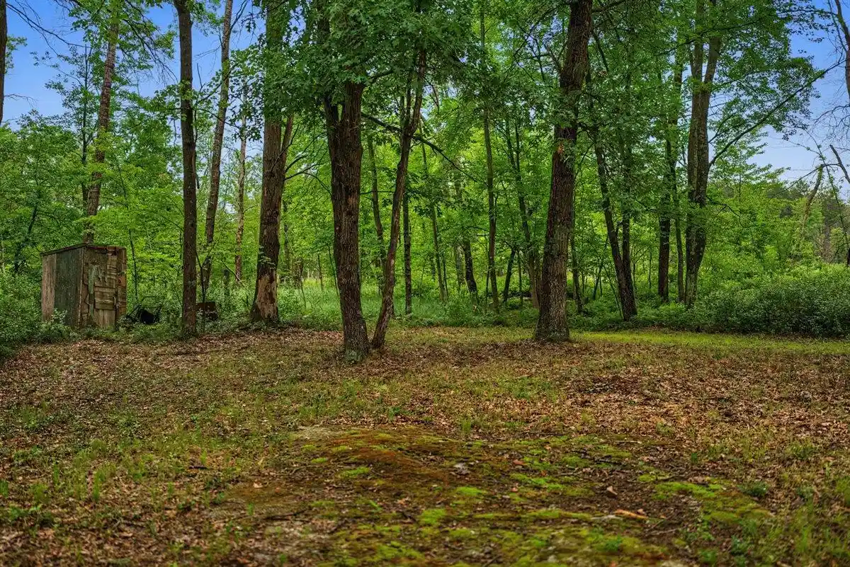 Photo 3 of Land for sale at 20 Acres Badger Avenue Avenue, Nekoosa, WI 54457 | MLS# 2027344 | Listing updated on 2026-07-05