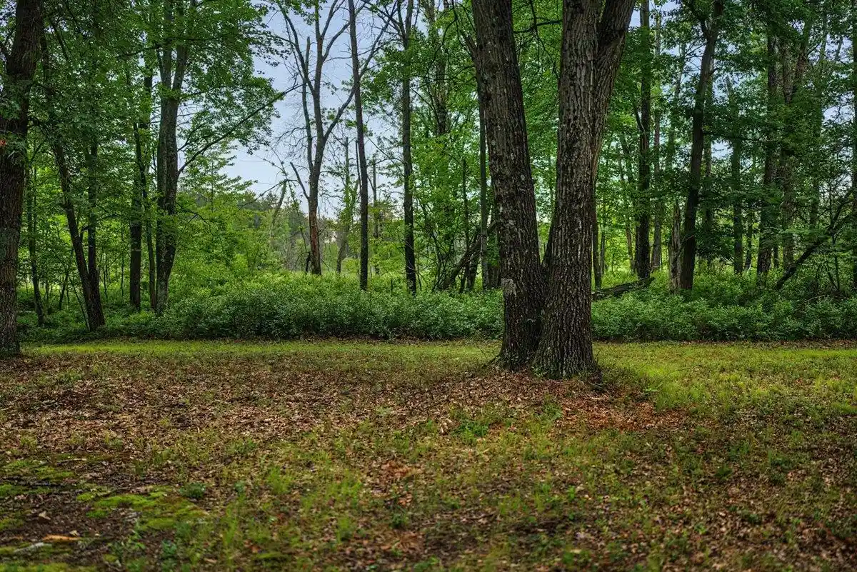 Photo 4 of Land for sale at 20 Acres Badger Avenue Avenue, Nekoosa, WI 54457 | MLS# 2027344 | Listing updated on 2026-07-05