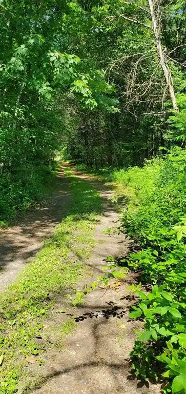 Homes for sale in Holcombe, WI | 0 Hwy D, Holcombe, WI 54745 | MLS# 1602913